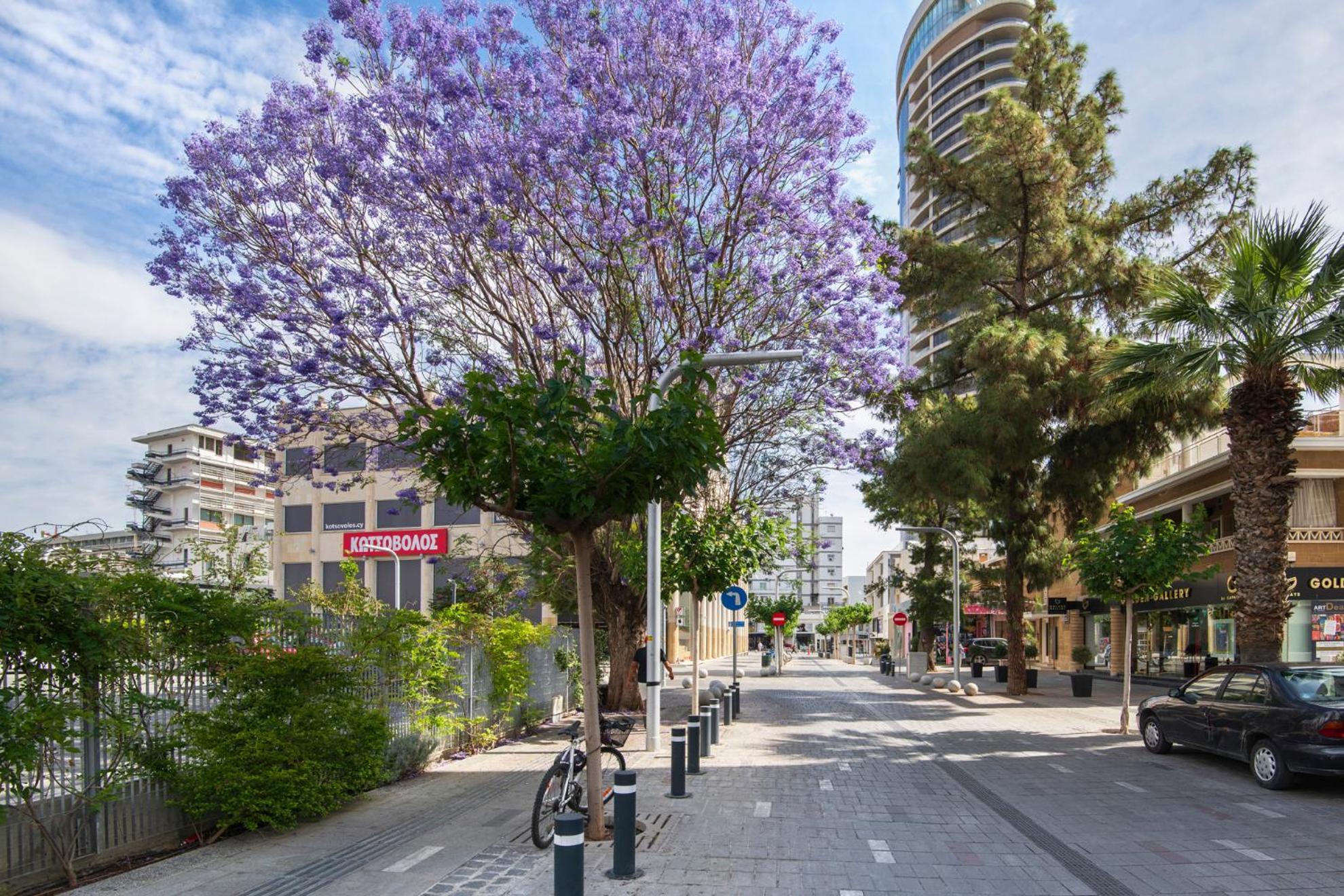Urban Condo 10 - 2 Bdr Nikosia Eksteriør bilde